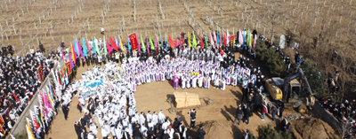DJI_0229.JPG
